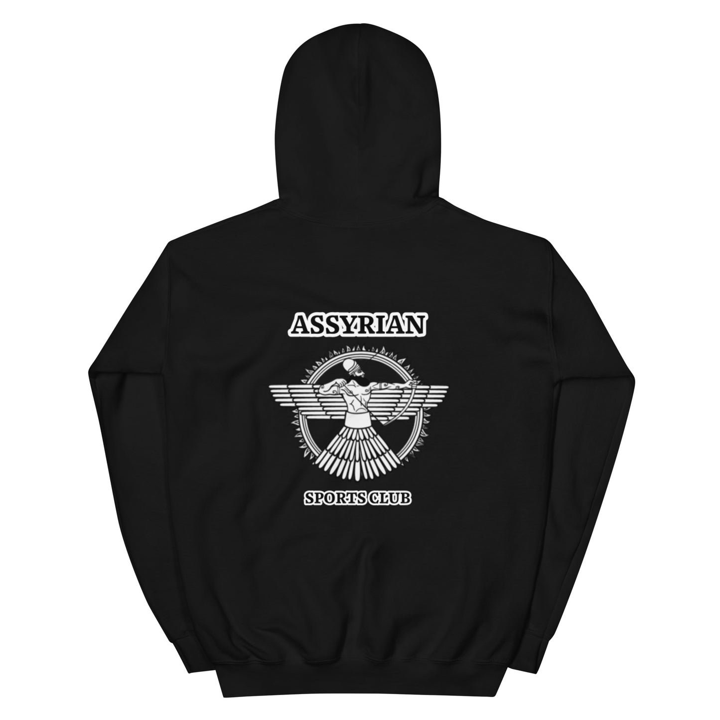 ASC lll Unisex Hoodie