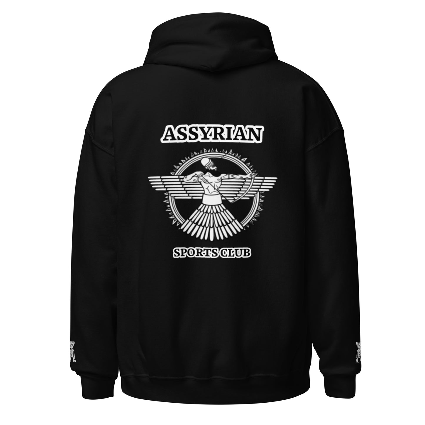 ASC lll Unisex Hoodie